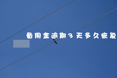 备用金逾期3天多久恢复