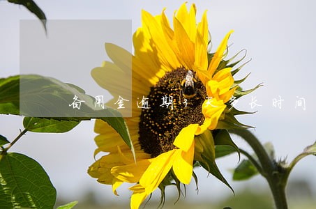 备用金逾期3天多长时间可以再用 备用金逾期3天多长时间可以再用