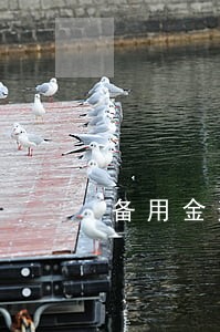 备用金逾期3天多长时间可以在用 备用金逾期3天多长时间可以在用