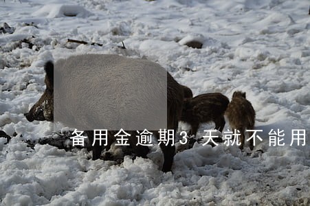 备用金逾期3天就不能用了 备用金逾期3天就不能用了