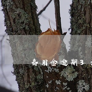 备用金逾期3天接不出来 备用金逾期3天接不出来