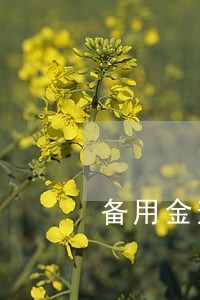 备用金逾期3天照片 备用金逾期3天照片