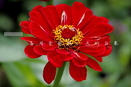 备用金逾期3天的后果 备用金逾期3天的后果