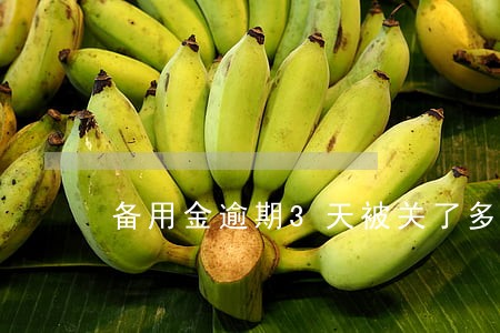 备用金逾期3天被关了多久能开 备用金逾期3天被关了多久能开