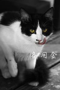 备用金逾期3天被锁了 备用金逾期3天被锁了