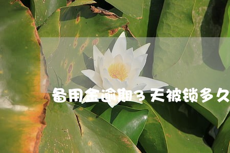 备用金逾期3天被锁多久恢复 备用金逾期3天被锁多久恢复
