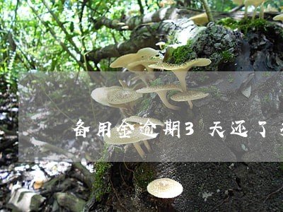 备用金逾期3天还了多久能开通 备用金逾期3天还了多久能开通