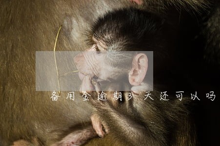 备用金逾期3天还可以吗 备用金逾期3天还可以吗