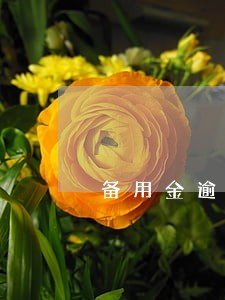 备用金逾期3天还完了还能再借吗 备用金逾期3天还完了还能再借吗