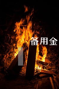 备用金逾期3天还款可以用借呗吗 备用金逾期3天还款可以用借呗吗