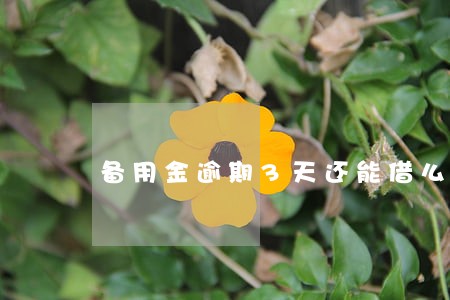 备用金逾期3天还能借么