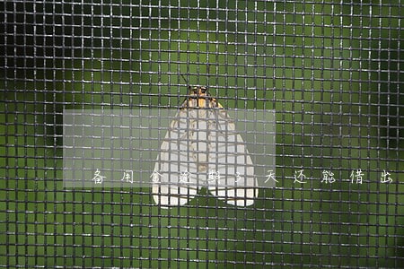 备用金逾期3天还能借出来