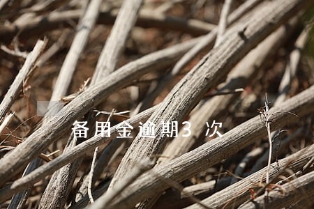 备用金逾期3次 备用金逾期3次