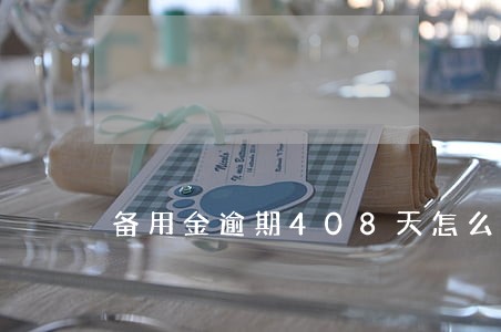 备用金逾期408天怎么回事 备用金逾期408天怎么回事