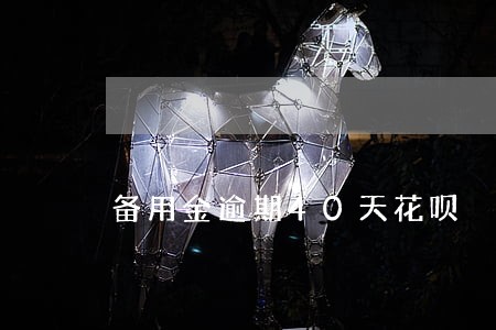 备用金逾期40天花呗 备用金逾期40天花呗