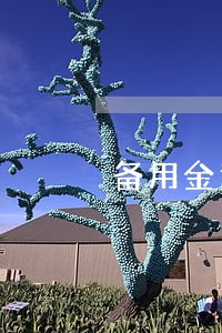 备用金逾期4个小时 备用金逾期4个小时