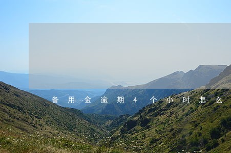 备用金逾期4个小时怎么回事 备用金逾期4个小时怎么回事