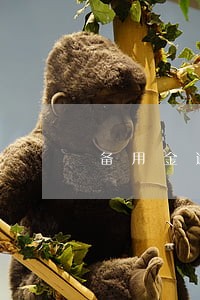 备用金逾期4天不能用 备用金逾期4天不能用