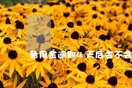 备用金逾期4天后会不会有影响 备用金逾期4天后会不会有影响