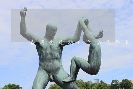 备用金逾期4天后还不上怎么办 备用金逾期4天后还不上怎么办