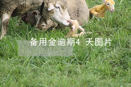 备用金逾期4天图片 备用金逾期4天图片