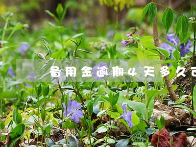 备用金逾期4天多久可以恢复使用 备用金逾期4天多久可以恢复使用
