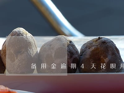 备用金逾期4天花呗用不了了 备用金逾期4天花呗用不了了