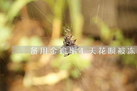 备用金逾期4天花呗被冻结了 备用金逾期4天花呗被冻结了