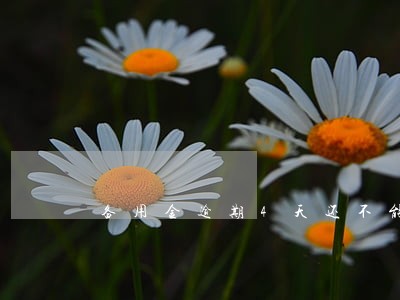备用金逾期4天还不能用 备用金逾期4天还不能用