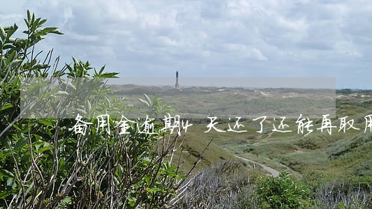 备用金逾期4天还了还能再取用吗 备用金逾期4天还了还能再取用吗