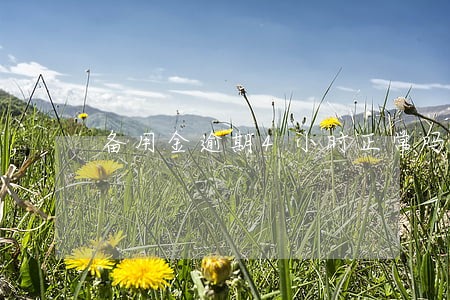备用金逾期4小时正常吗 备用金逾期4小时正常吗