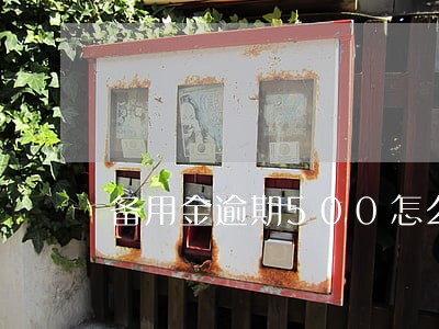 备用金逾期500怎么办 备用金逾期500怎么办