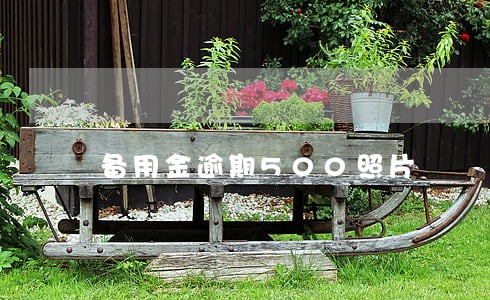 备用金逾期500照片 备用金逾期500照片