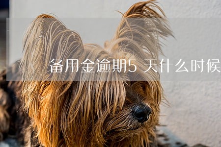 备用金逾期5天什么时候能用 备用金逾期5天什么时候能用