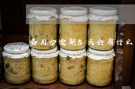 备用金逾期5天会有什么后果 备用金逾期5天会有什么后果