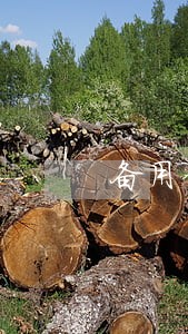 备用金逾期5天多久上征信 备用金逾期5天多久上征信