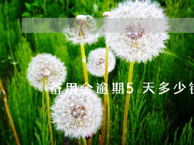 备用金逾期5天多少钱 备用金逾期5天多少钱