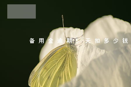 备用金逾期5天扣多少钱 备用金逾期5天扣多少钱