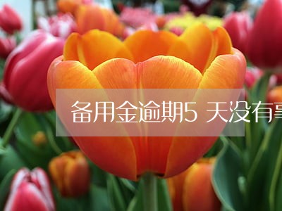 备用金逾期5天没有事吧 备用金逾期5天没有事吧