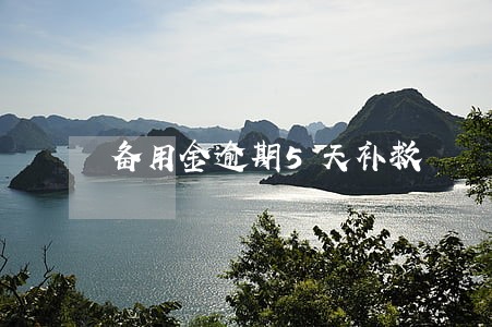 备用金逾期5天补救 备用金逾期5天补救