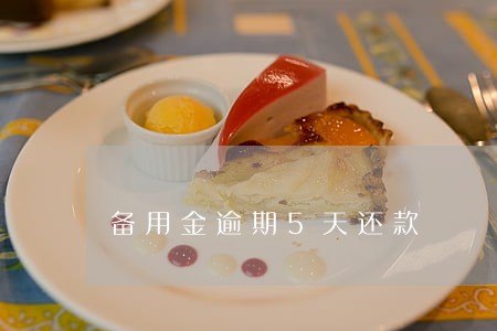 备用金逾期5天还款 备用金逾期5天还款