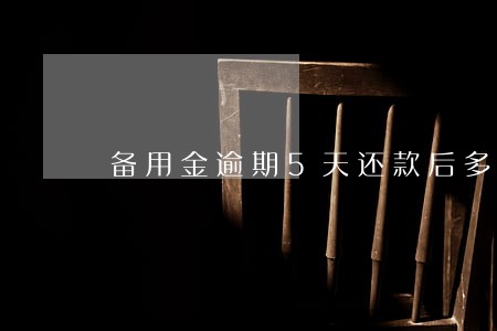 备用金逾期5天还款后多久可以用