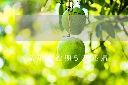 备用金逾期5天还清 备用金逾期5天还清