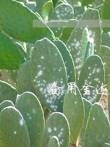 备用金逾期5天还能再用吗