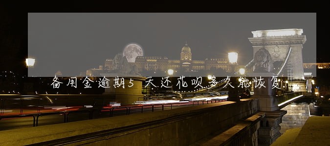 备用金逾期5天还花呗多久能恢复 备用金逾期5天还花呗多久能恢复