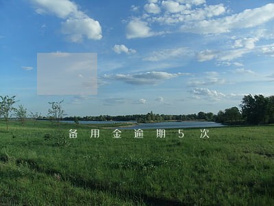 备用金逾期5次