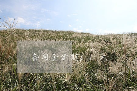 备用金逾期61天 备用金逾期61天