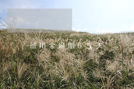 备用金逾期65天 备用金逾期65天