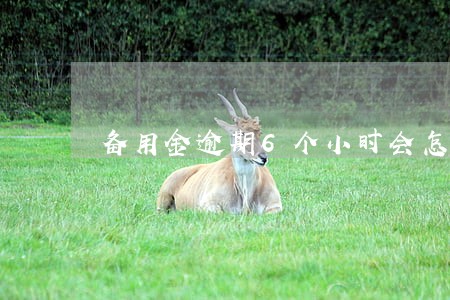 备用金逾期6个小时会怎么样 备用金逾期6个小时会怎么样