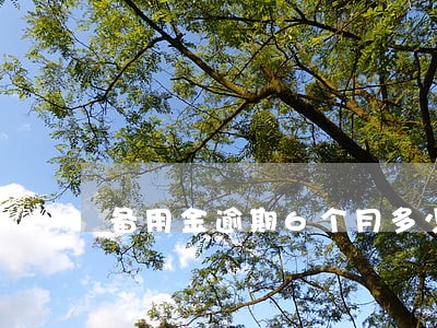 备用金逾期6个月多少利息 备用金逾期6个月多少利息